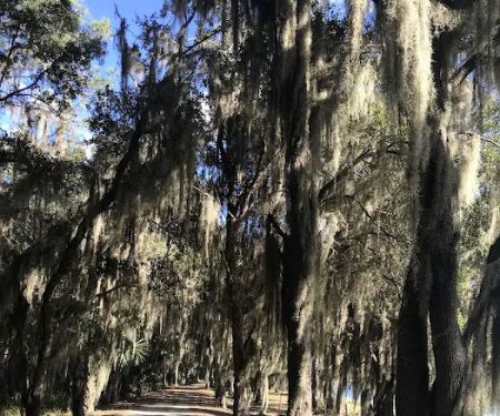 Hardee County Lakes