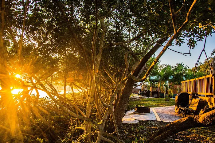 St. Petersburg / Madeira Beach KOA Holiday Picture 3