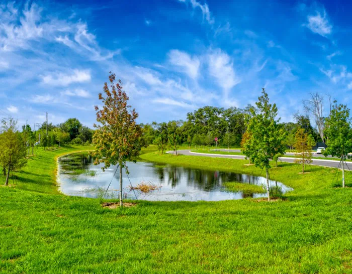 Encore Terra Ceia Picture 9