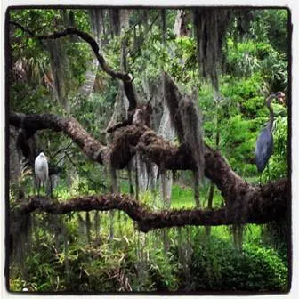 Frog Creek Campground Picture 3