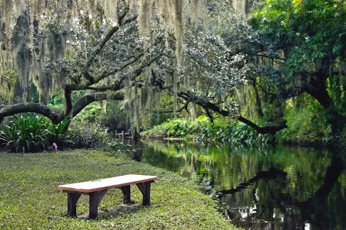 Frog Creek Campground Picture 9