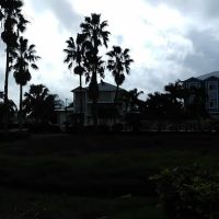 Terra Ceia Bay Estates ico