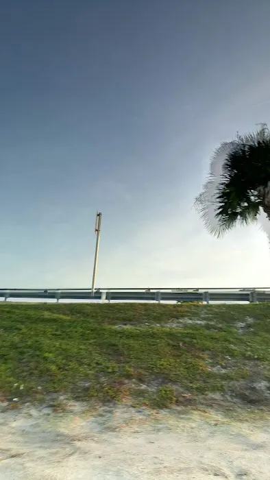 Terra Ceia Bay Estates Picture 10