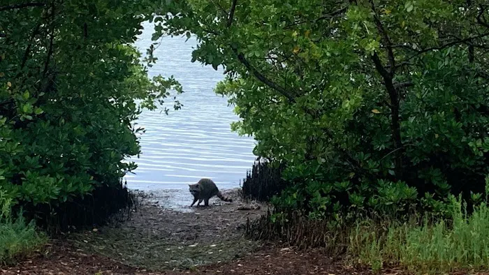 Fort De Soto Park Campground Picture 8