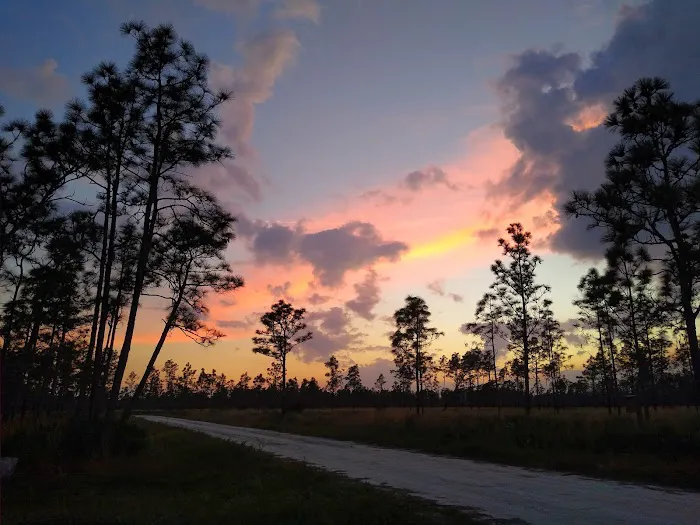 three lakes WMA campground Picture 4