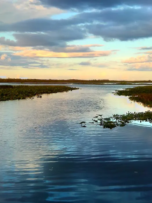 Grape Hammock Fish Camp & Airboat Rides Picture 3