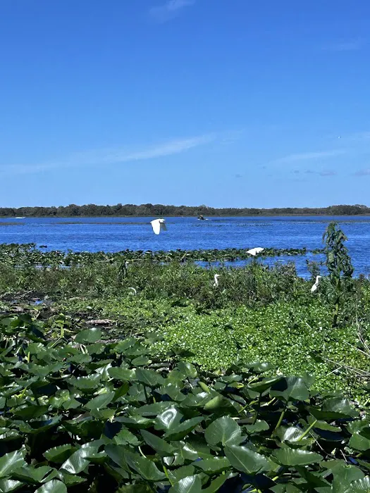 Grape Hammock Fish Camp & Airboat Rides Picture 4