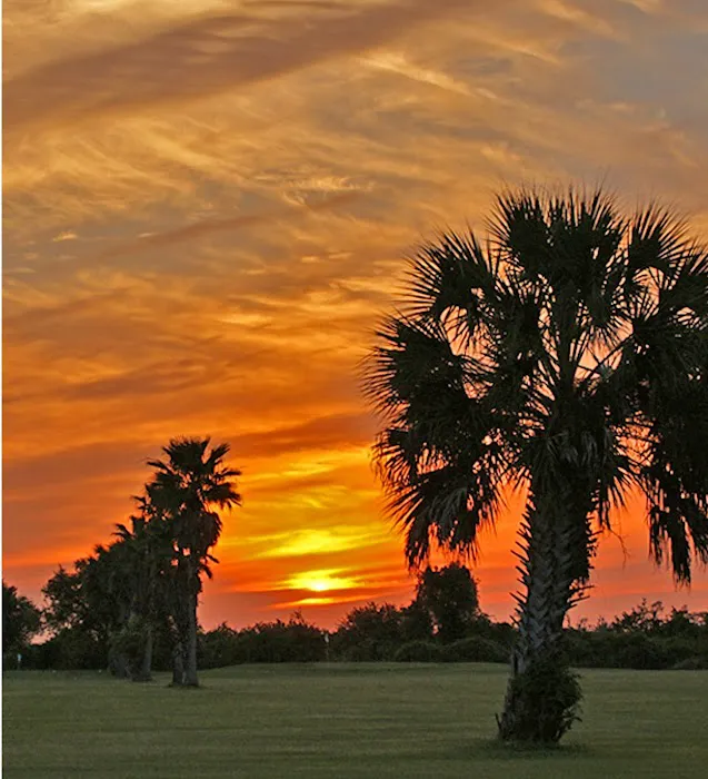 Live Oak RV Resort & Golf Course Picture 3