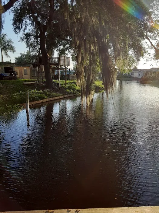 Peace River Mobile Home RV Picture 10