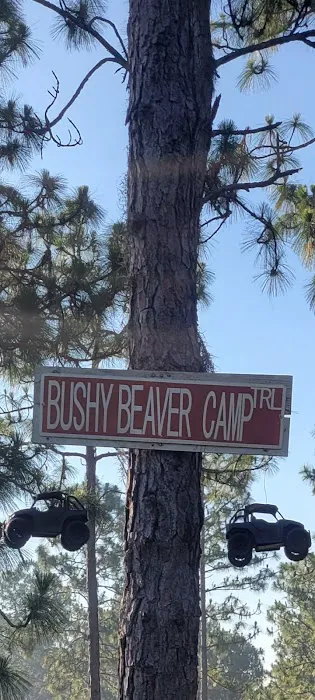 Camp Bushy Beaver Picture 1