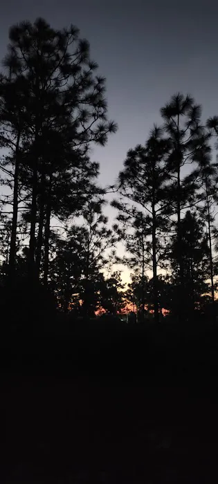 Camp Bushy Beaver Picture 5