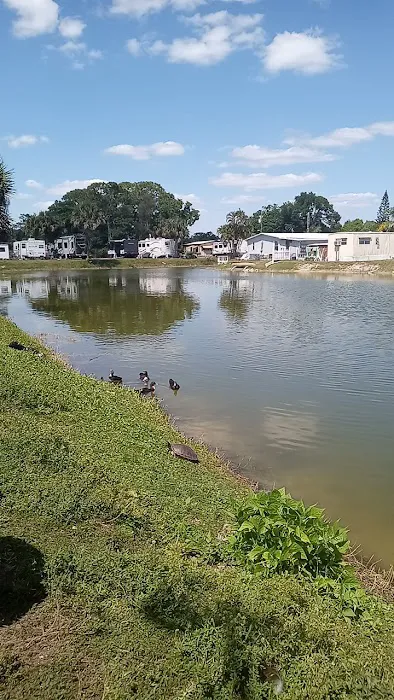 Lazy J Mobile Home & RV Park Picture 2