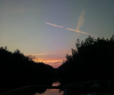 Sunny Grove Park Inc.
