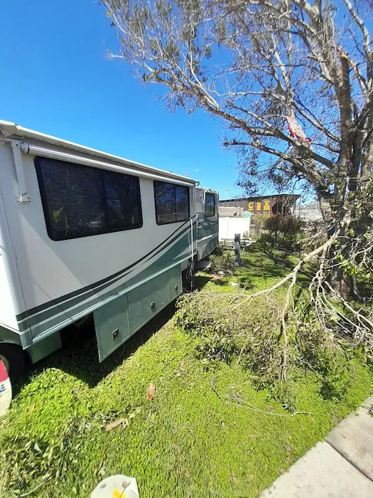 Tice Mobile Home Court & RV Picture 5