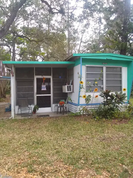 Julia Mobile Home and RV Park Picture 3