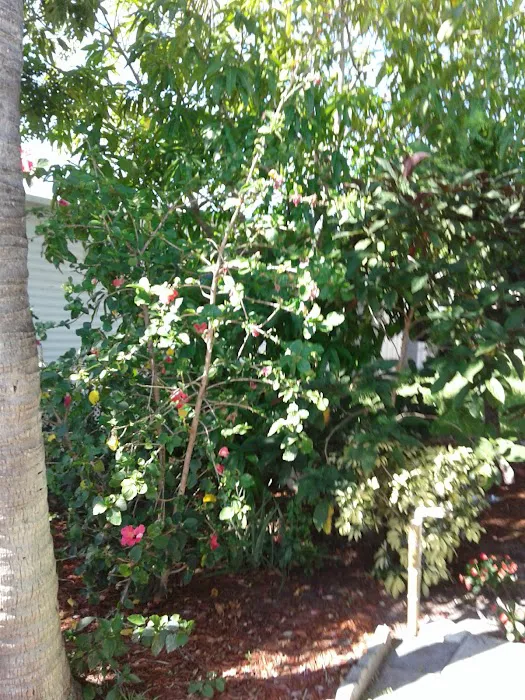 Palm Beach MHP, LLC. Picture 4