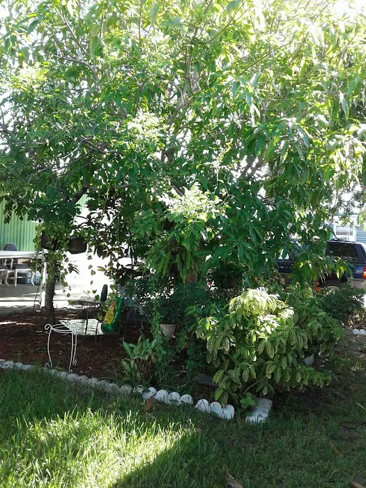 Palm Beach MHP, LLC. Picture 8