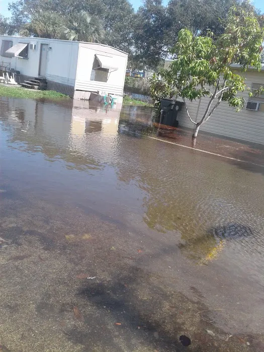 Palm Beach MHP, LLC. Picture 10