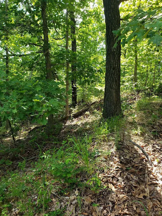 Bennett Spring Campground & Float Trips(formerly Circle J) Picture 5