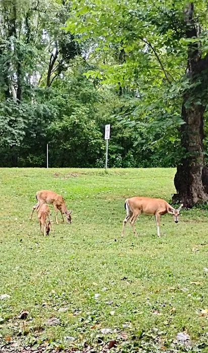 Bennett Spring State Park Campground Picture 5