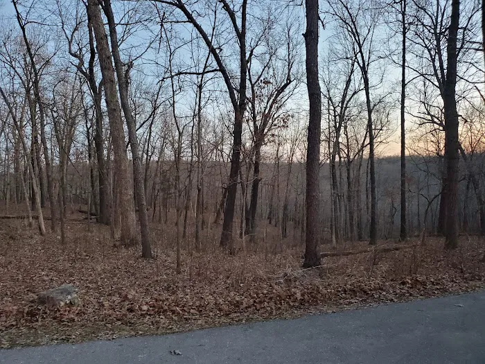 Campground #4 Picture 6