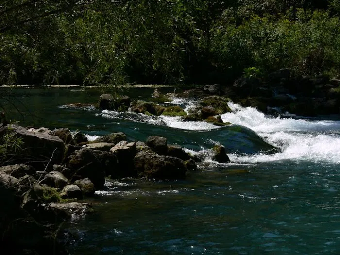 Riverfront Campground & Canoe Picture 6