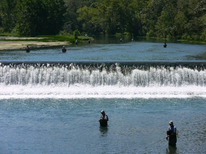 Riverfront Campground & Canoe Picture 9