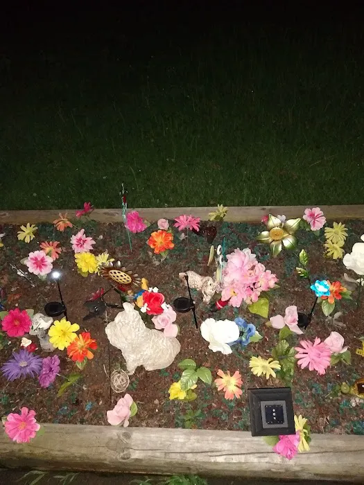 Mulberry Acres Mobile Home Park Picture 2