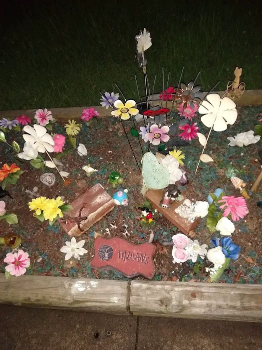 Mulberry Acres Mobile Home Park Picture 5