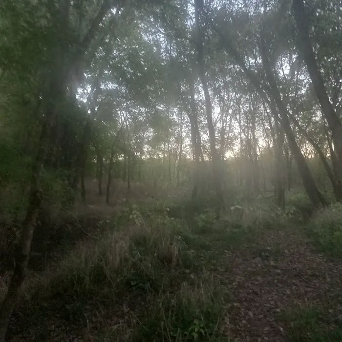 Primitive Camping Picture 5