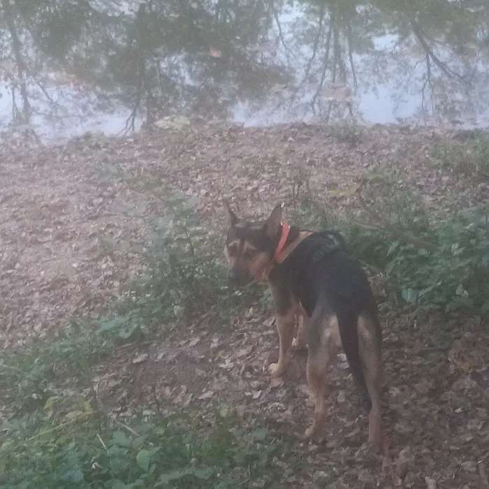 Primitive Camping Picture 6
