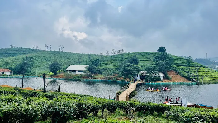 Tea Lakes Picture 1