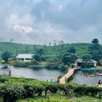 Tea Lakes