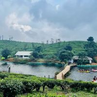 Tea Lakes ico