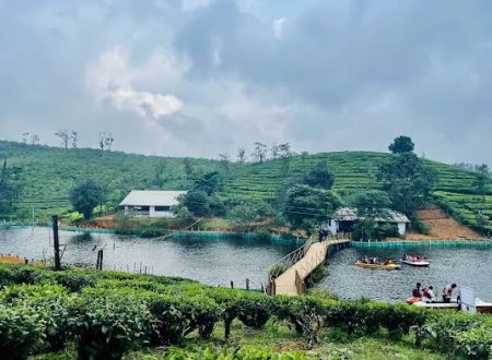 Tea Lakes