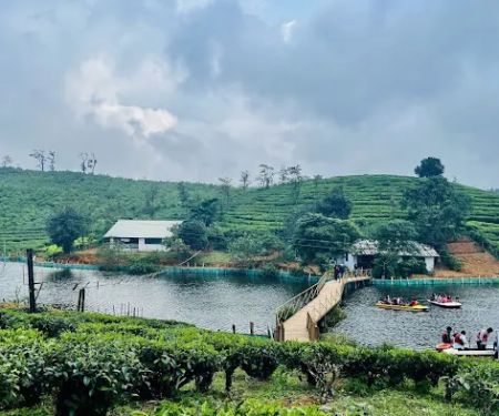 Tea Lakes