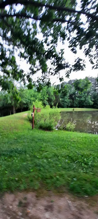 Tea Lakes Picture 8