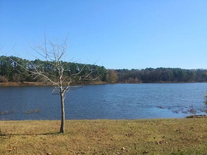 Tea Lakes Picture 2