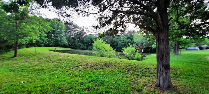 Tea Lakes Picture 10
