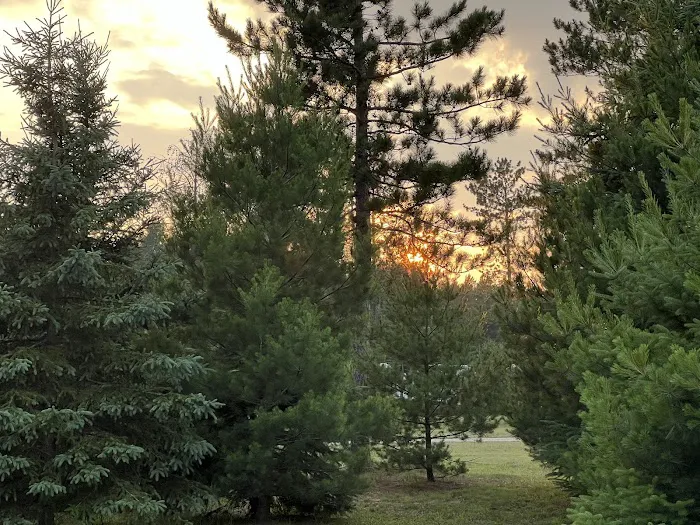 Plum Pines RV Park & Campground Picture 5