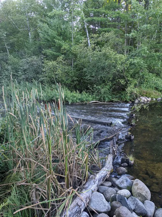 Plum Lake Campground, Northern Highland American Legion State Forest Picture 9