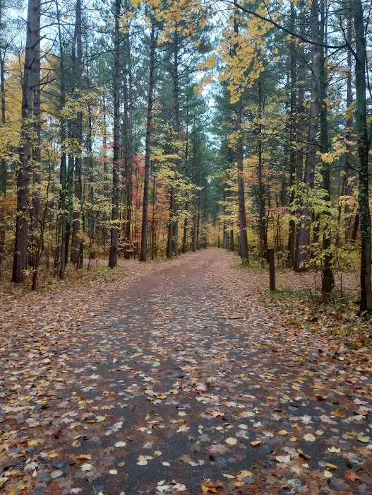 Musky Lake Campground Picture 2