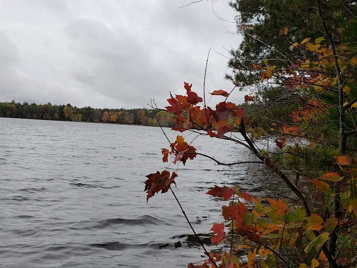 Musky Lake Campground Picture 3