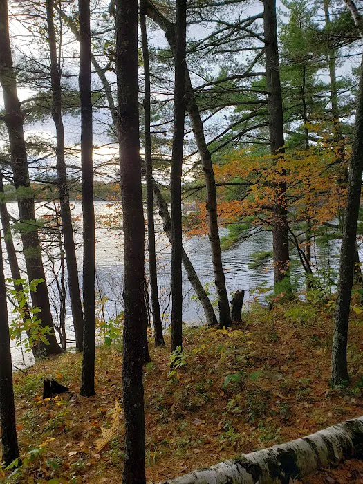 Musky Lake Campground Picture 9