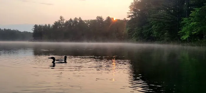Starrett Lake Campground Picture 4