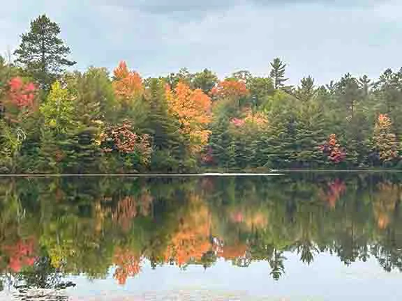 Punch Lake Campground Picture 2