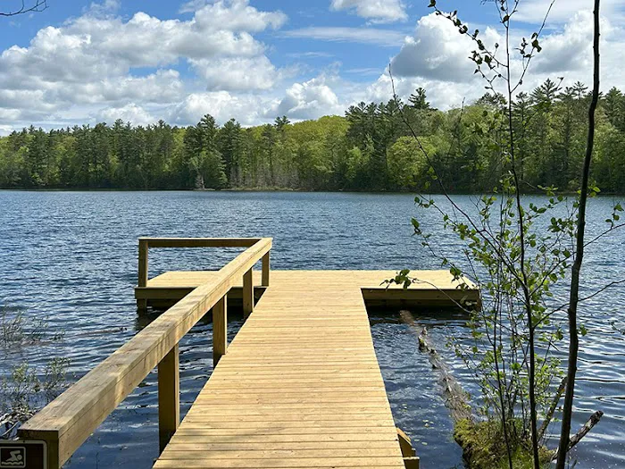 Punch Lake Campground Picture 7