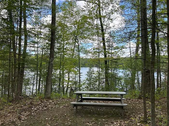 Punch Lake Campground Picture 8