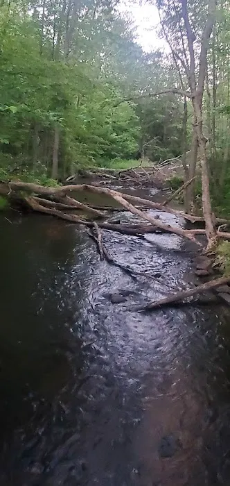 South Trout Lake Campground Picture 8