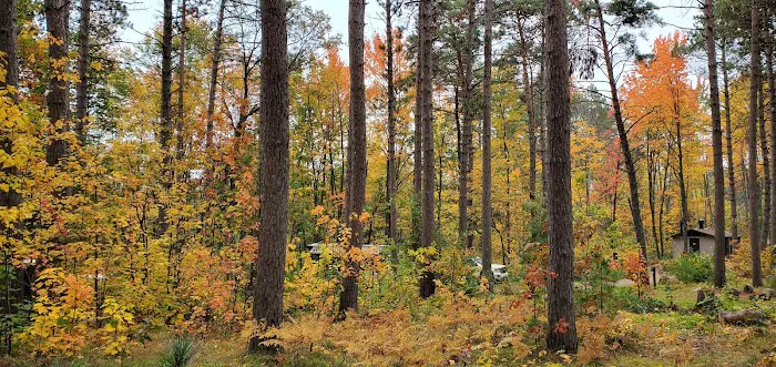 North Trout Lake campground Picture 7